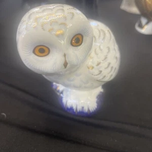 ROYAL CROWN DERBY SNOWY OWL GOLD STOPPER PAPERWEIGHT "boxed with free post" - Picture 1 of 4