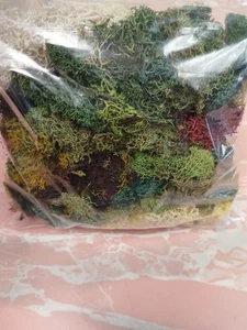 Mixed Lichen Model Wargaming Terrain Scenery Model Railroad Diorama 1 Bag 2oz - Picture 1 of 3