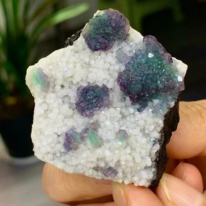 70G Natural rare purple green fluorite mineral in Inner Mongolia - Picture 1 of 18