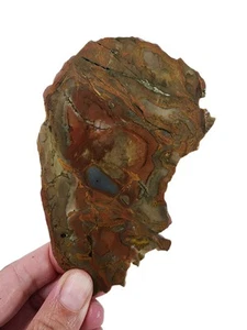 Picture Jasper Slab Oregon 100.7 grams. - Picture 1 of 2