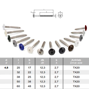 Flachkopfschrauben Edelstahl VA Holzschrauben 9086 farbig Weiß Schwarz Anthrazit - Bild 1 von 10