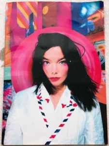 Bjork Japan tour 1996 in Nippon Budokan Tokyo concert booklet Used (16.5 x 9.8) - Picture 1 of 5