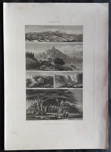 1866 Blackie & Sons antiker Druck 5 Ansichten des Libanon - Bild 1 von 1