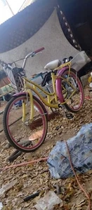 2024 Schwinn Clairmont Cruiser - Picture 1 of 6