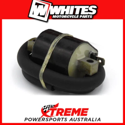 Bobina de encendido CDI blanca Yamaha TTR110E 2008-2013 WPELC04120108 Foto 1 de 3