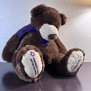 TEMPUR-PEDIC Teddy Bear Memory Foam Advertising Pancreatic Cancer Network Plush - Picture 1 of 13