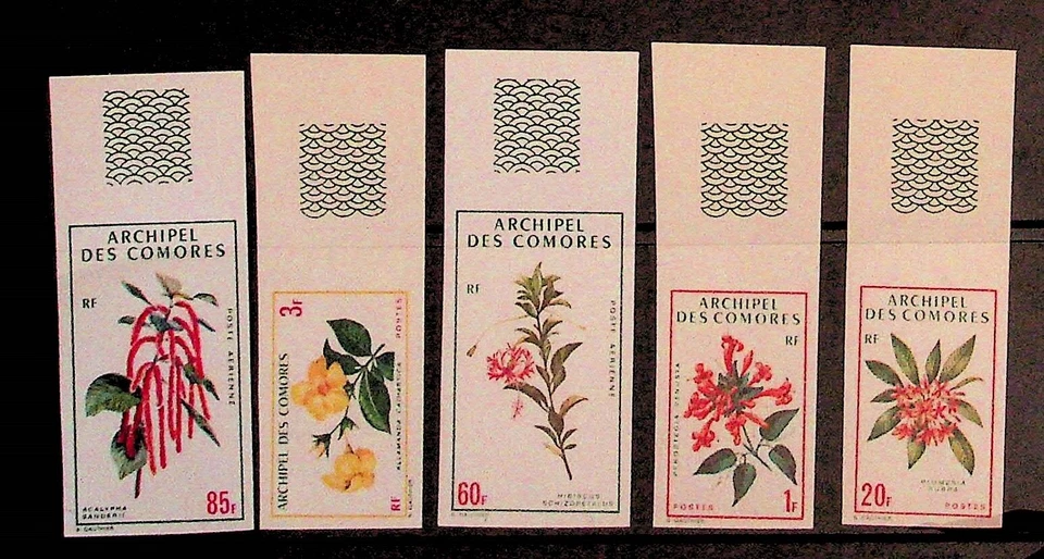 COMORO ISL. Sc 96-8,C37-8 NH IMPERF SET OF 1971 - FLOWERS - Image 1 of 1