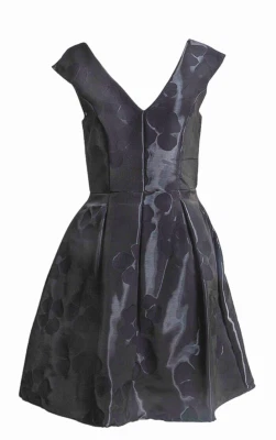 Aidan by Aidan Mattox Evening Dress  Size 4 Floral sleeveless Shiny Sheer Black - Image 1 of 4