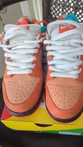 Nike Dunk Low SB Concepts Orange Lobster Size 8 - Picture 1 of 10