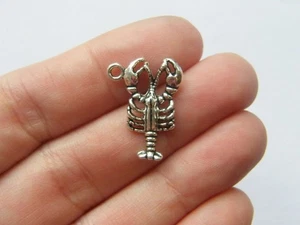 GROSSPACKUNG 50 Karabiner Charms Antik Silberfarben FF58 - Bild 1 von 5