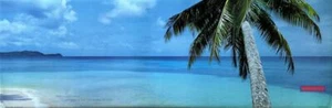 Palm Tree on a Relaxing Beach Inspirational Quote Slim Print 12 x 36 - Picture 1 of 6