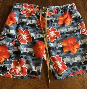 Boys LargeThird Coast Graphic Polyester Lined Board Swim Shorts Trunks 8” Inseam - Picture 1 of 11