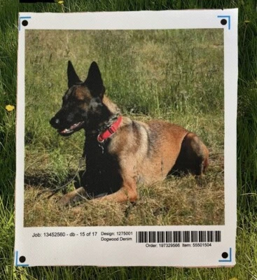 Denim Dogwood: Imperial Swatch 8 pulgadas cuadrado "perro belga Malinois" tela  Foto 1 de 4