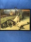 Jack Russell Terrier Antique Laminate Plaque