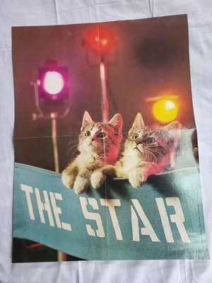 Vintage 70s 1977 The Star Cute Kitten Cat Kitty Poster Wall Art 16x21 - Image 1 of 3