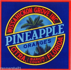 Citra Marion County Florida Pineapple #4 Orange Fruit Crate Label Art Print - Picture 1 of 1