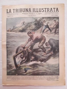 La Tribuna Illustrata n.29 anno 1937 Il regno delle farfalle - Picture 1 of 1