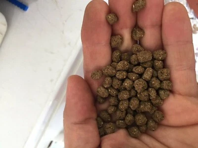 BEST Koi Chiclid Goldfish Fish Food Floating Pond Pellets Medium or Lrg *CHOOSE*