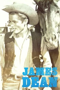 James Dean Giant Movie Actor Poster 35 x 24 - Picture 1 of 2