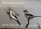None RSPB Badges GS Collection Great Grey Shrike