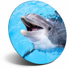 Awesome Fridge Magnet - Happy Dolphin Ocean Water Cool Gift #14574