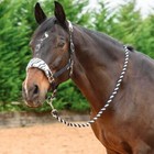 Horse Padded Headcollar Halters & Leadrope Fleece Animal Print Pony Cob Full