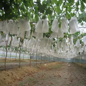 100pcs Garden Plant Fruit cover Protect Net Mesh Bag Against Insect Bird Pest - Picture 1 of 11