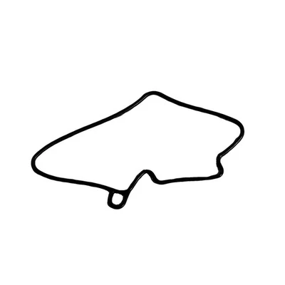 Polaris 3131105 O-Ring XCR XC IQ  SP 1999-2007 Foto 1 de 3