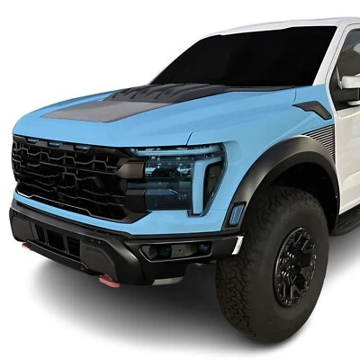 Kit de sujetador transparente de película de protección de pintura precortada PPF para Ford F150 2024+ Foto 1 de 4