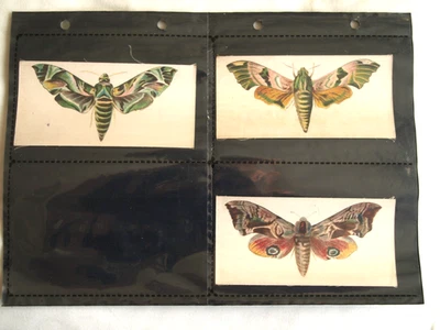 R J LEA CIGARETTE CARDS -  1924 BUTTERFLIES & MOTHS (SILK) LARGE, HALF SET 3/6 - Image 1 of 2