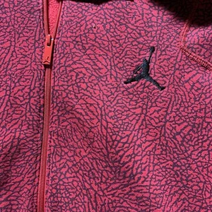 Air Jordan Own The Elephant Hombres GRANDE Cremallera Completa Sudadera con Capucha Jumpman Baloncesto - Imagen 1 de 11