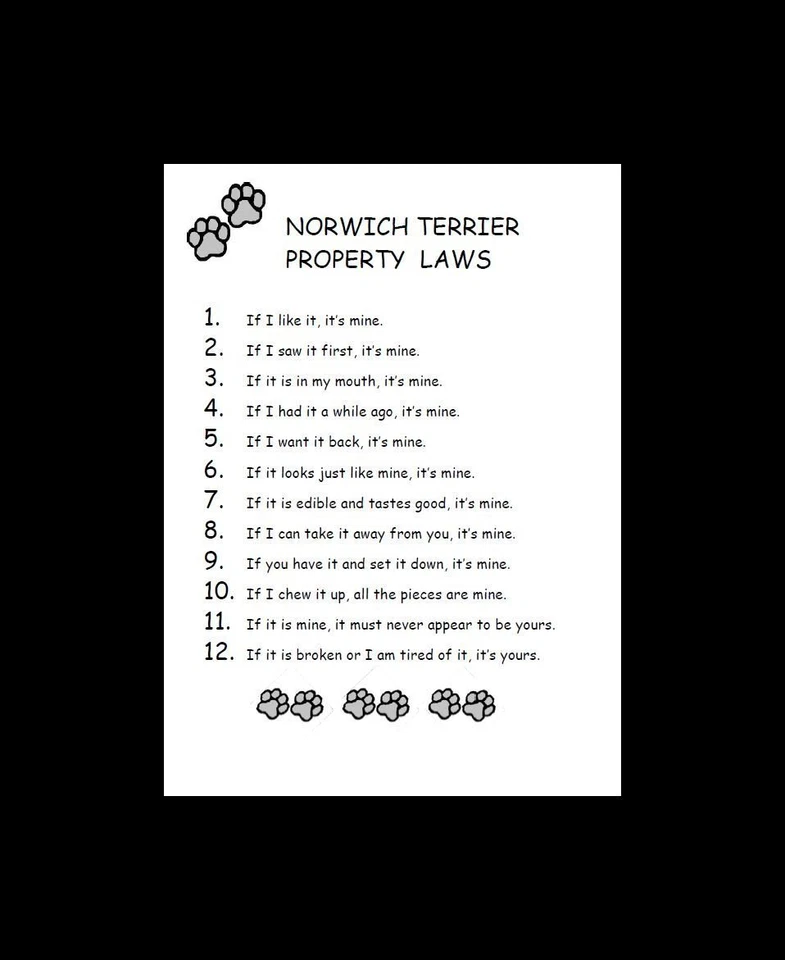 Norwich Terrier - PERSONALIZADO MATE - Impresión de arte para perros - P/L Foto 1 de 1