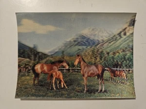 VTG Lenticular 3D Horses In A Field Mares Foals Made In Japan Unused 60s/70s - Picture 1 of 3