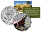 EASTERN PAINTED TURTLE *Collectible Reptiles* JFK Half Dollar US Colorized Coin