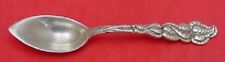 Ailanthus by Tiffany and Co Sterling Silver Grapefruit Spoon Original 5 3/4"