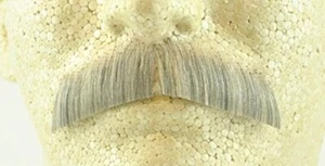 Light Gray Human Hair Gentleman Moustache 2011 - Picture 1 of 1
