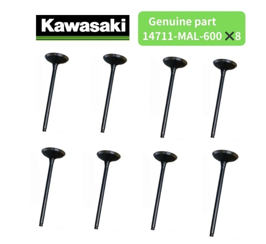 Válvula de admisión Honda OEM 14711-MAL-600✖️8 se adapta a CBR600F2 F3 CB600F CBF600 1991-2008 Foto 1 de 1