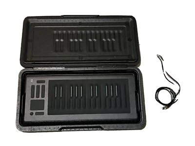 Controlador de teclado USB ROLI Seaboard RISE 25 Note Foto 1 de 4