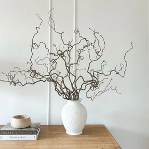 Twisted Corylus Natural Decorative Dried Branch Decor, Japandi Branches Decor - Picture 1 of 20