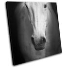 Horse Portrait Black White Animals SINGLE TOILE murale ART Photo Print