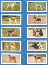 DOGS.Nos.1,3-5,8,12-15,17,18,21-25,27,28,34,36.20 HORNIMANS TEA CARDS 1961