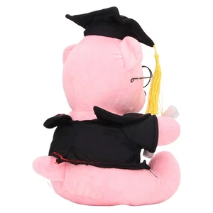 Pink Little Bear Plush Doll With Gown Cap Diploma Bear Stuffed Doll Toy Stuf HOT - Picture 1 of 23