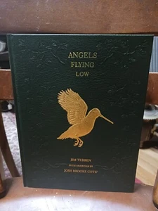 Angels Flying Low Jim Tebben Illus Josh Brooke Cote Signed Limited First Ed. - Picture 1 of 11