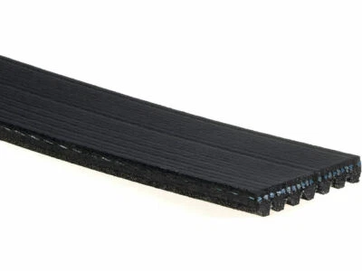 Cinturón multi costilla aire acondicionado Delco 78979WK 2000 2001 Land Rover Discovery 1999-2004 Foto 1 de 2