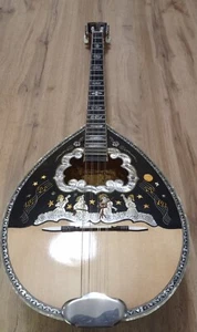 Greek Bouzouki SPECIAL OFFER-Hardcase & Pickup & 300 Backing Track & Pdf Scores - Picture 1 of 12