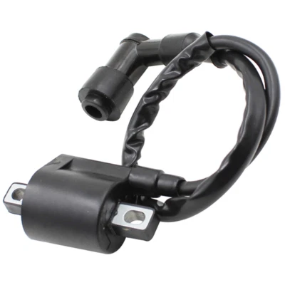 Kit de bobina de encendido 12V para 50 70 110 125 150 200 250cc motocicletas ATV scooters Foto 1 de 4