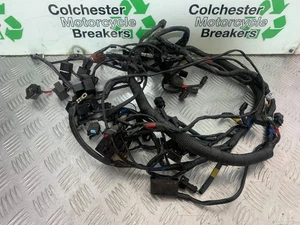 TRIUMPH 1050 SPRINT ST WIRING LOOM  2004-2007 (CMB1197) - Picture 1 of 9
