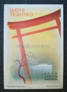 LLOYD TRIESTINO - Asia Africa Australia - Bella Illustrazione Grafica G. Modiano - Picture 1 of 2