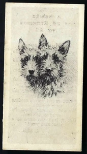 BRITISH AMERICAN (PRINTED) - ETCHINGS (OF DOGS) - #23 A MUTE APPEAL - Imagen 1 de 2