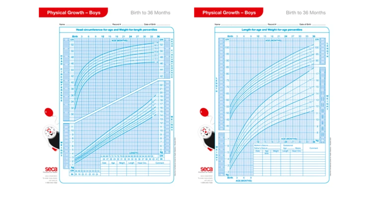 SECA-Growth charts (Boys 2-20 years), Pack of 100 Sheets
